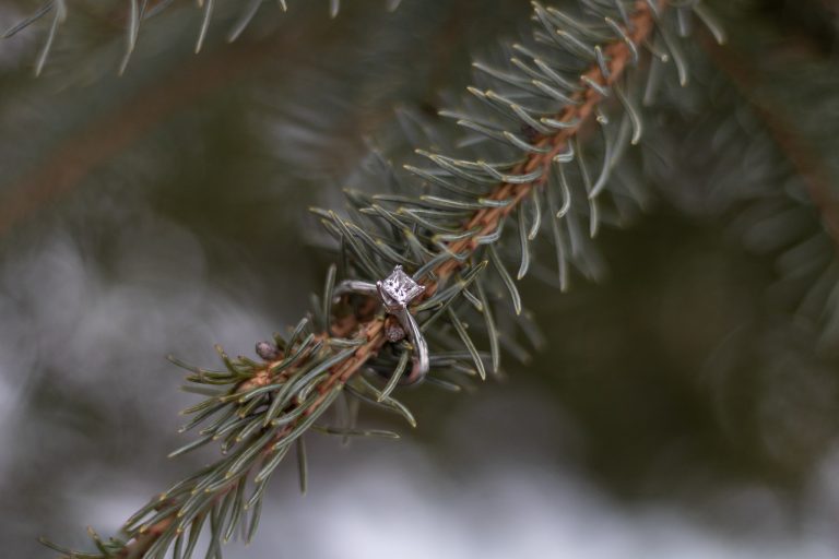 Engagement | veronikaliciaphotography.ca